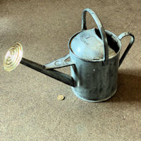 1 Gallon Galvainsed Watering Can WC82