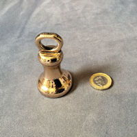 8 Ounce Brass Weight W350