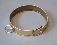 Brass Dog Collar