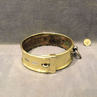 Brass Dog Collar DC23