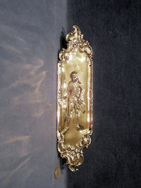 Brass Fingerplate