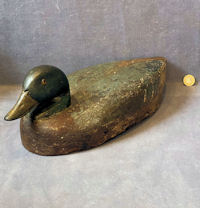 Decoy Duck