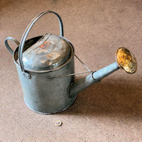 Galvanised Watering Can WC81