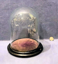 Glass Dome on Base D37