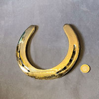 Large Brass Horse Shoe