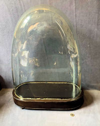 Large Oval Glass Dome with Plinth