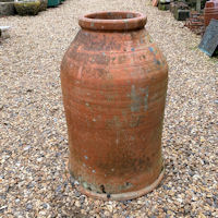 Large Terracotta Rhubarb Forcer