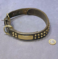 Leather Dog Collar DC25