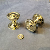 Pair of Brass Door Handles DH872