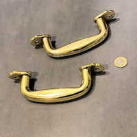 Pair of Brass Door Pulls DP583