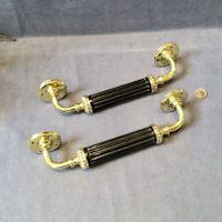 Pair of Ebony and Brass Door Pulls DP549