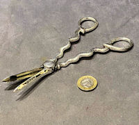 Pair of Nickel Plated Grape Scissors