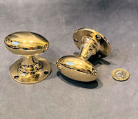 Pair of Oval Brass Door Handles DH996