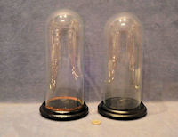 Pair of Small Glass Domes on Plinths