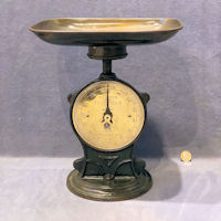 Salters Family Scale S299