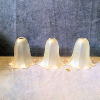 Set of 3 Frosted Glass Lamp Shades S554