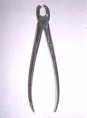 Steel Dental Forceps DF1