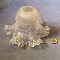 Textured Clear Glass Lamp Shade S661